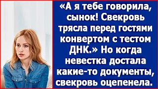 Свекровь трясла перед гостями конвертом с тестом ДНК. Но когда невестка достала какие-то документы.