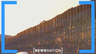 Mayorkas 'knows exactly' what’s happening at the border: Arizona sheriff | NewsNation Live