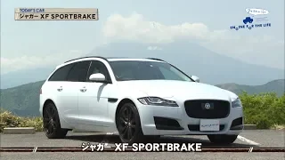 tvk「クルマでいこう！」公式 ジャガー XF SPORTBRAKE 2018/6/17放送(#532)