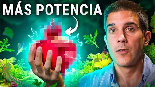 Este ALIMENTO mejora tus ERECCIONES, CEREBRO, MÚSCULOS y CORAZÓN (Nuevos estudios)