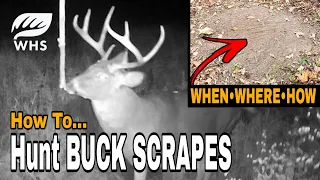 How To Hunt A Buck Scrape