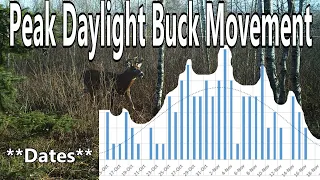 Peak Daylight Buck Activity