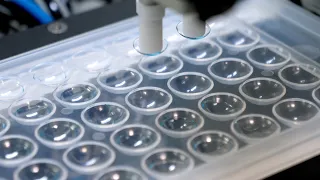 A process you didn't know about. The process of making contact lenses and glasses in Korea.