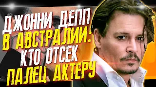 ДЖОННИ ДЕПП И ЕГО ЭКС: ИНЦИДЕНТ В АВСТРАЛИИ  2015 // ФАЙЛЫ ДЖОННИ ДЕППА