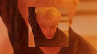 svt hoshi - spider [sped up]