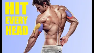 BEST Triceps Workout for Every Head (HIT ALL 3 HEADS)