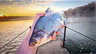 Fishing w/ LIVE SHAD Under A CONCRETE WATERFALL!!! (Unexpected Results)