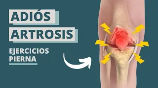 ADIOS al DOLOR de ARTROSIS en PIERNAS -  EJERCICOS SENTADOS para ADULTOS MAYORES