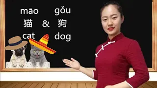 POV Learning Mandarin Chinese Radicals using "猫 (Cat)" and "狗 (Dog)" with Joyce! Part 1