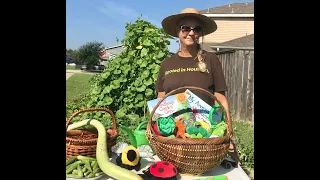 I Am A Bee Story and Pollinators Lesson with Sherry Cruse