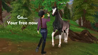 What about us? - Star Stable Music Video -
