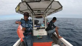 trip ikan merah 14-02-2024