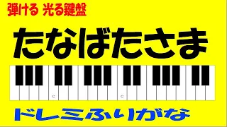 たなばたさま ドレミ鍵盤つきゆっくり練習