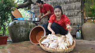 Countryside life TV: Chicken is good for today recipe / Chicken curry / Ginger stir-fried chicken