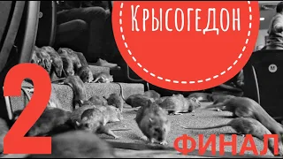 Крысогедон. Часть 2. Кремниевая долина 6 сезон 7 серия.