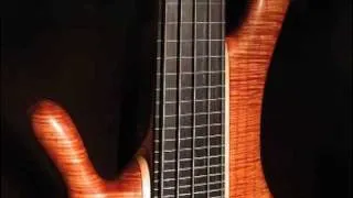 Bass Guitars from Jerzy Drozd Basses Company