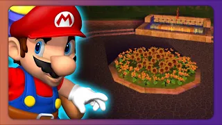 (more) Strange and Mundane Spots in Super Mario Sunshine