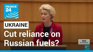 Cut reliance on Russian fuels? EU seeks answers to energy supply crunch • FRANCE 24 English