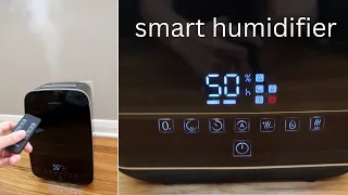 Winter Must Have: Hupro Smart Humidifier