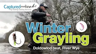 Winter grayling fly fishing on the River Wye, Mid-Wales