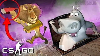 CSGO - MADAGASCAR TROLL !! EL LEÓN Z CAE EN LA TRAMPA DEL HIPO !!  *Nuevo Mapa* - Hide and Seek