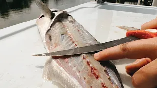 How To Clean A Bluefish (And Get Rid Of The Fishy Taste)