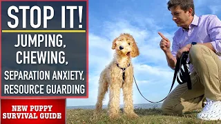 NEW PUPPY SURVIVAL GUIDE: How to EASILY STOP These 4 Puppy Problems NOW! (Ep 6)