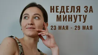 23 МАЯ - 29 МАЯ • НЕДЕЛЯ за МИНУТУ • Таро Прогноз на Неделю • Diva V.S