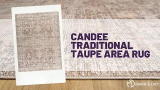Candee Traditional Taupe Area Rug