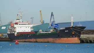 Bulk carrier SHARK unloading at the port of ipswich 30/1/18