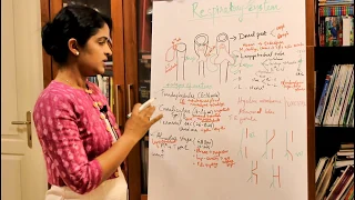 THE DEVELOPMENT OF THE LUNGS AND THE RESPIRATORY SYSTEM-HUMAN EMBRYOLOGY-DR ROSE JOSE MD