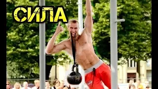 Как тренировать Силу? Сделать невозможное!