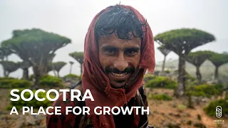 Socotra - A Place for Growth