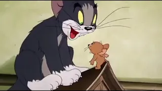 Tom & Jerry -  Dog Trouble  -  Season 1   Episode 5 Part 2 of 3