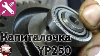 Yamaha Majesty 250. Part 2: repair