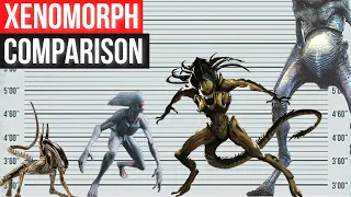 XENOMORPH Size Comparison 2022 | Biggest Alien