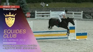 03.06.2018: Equides Cup: змагання з подолання перешкод, 2-й етап, маршрут 19-20,  90 см