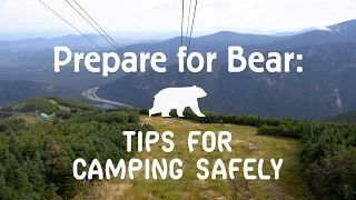 Prepare for Bear: Tips for Camping Safely