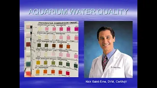 Tank Talk #2 - Aquarium Water Quality