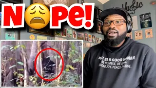 5 Mysterious Creatures Caught On Camera | REACTION