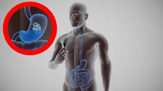 The DIGESTIVE SYSTEM explained: how it works and its parts. Digestion of food👩‍🏫