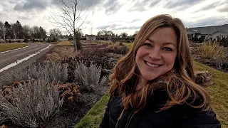 Planting Hyssop Seeds, Propagating Tradescantia & Flower Bed Cleanup! 🌿🙌💚 // Garden Answer