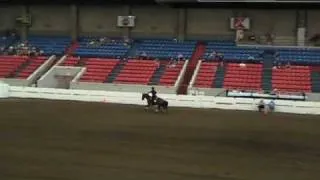 KY State 4-H Reining Championship