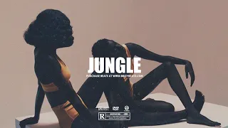 Tayc x Burna Boy x Buju x Wizkid Afroswing Type Beat 2024 "JUNGLE" | Afrobeat Instrumental