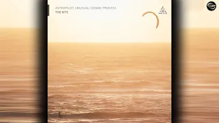 Astropilot & Unusual Cosmic Process - The Kite