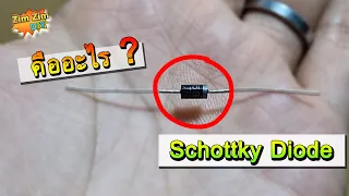 Schottky Diode คืออะไร ? ช็อตกี้ไดโอด ทำงานอย่างไร ?