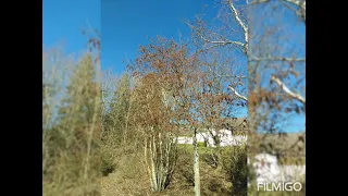 Wochenende im Sonnenschein im Center Parc Park Eifel