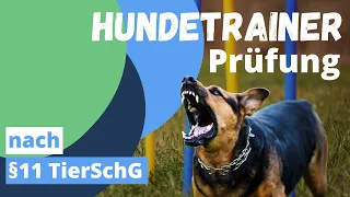 Hundetrainer - §11 Sachkundeprüfung| Einfach erklärt von Plakos