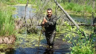 Мир дикой природы. Западное Полесье