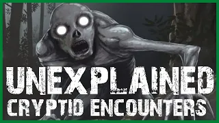 22 UNEXPLAINED CRYPTID ENCOUNTER HORROR STORIES